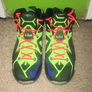 Lebron 12s